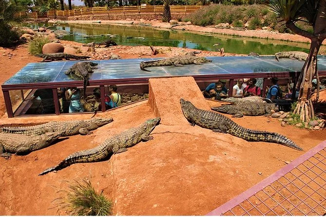 image 1 from Crocodile park agadir