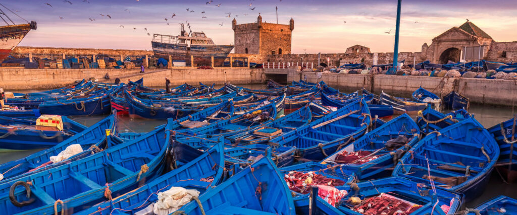 essaouira-port-in-morocco-shot-after-sunset-at-blue-hour-ruslan-kalnitsky-tayyurt-surf